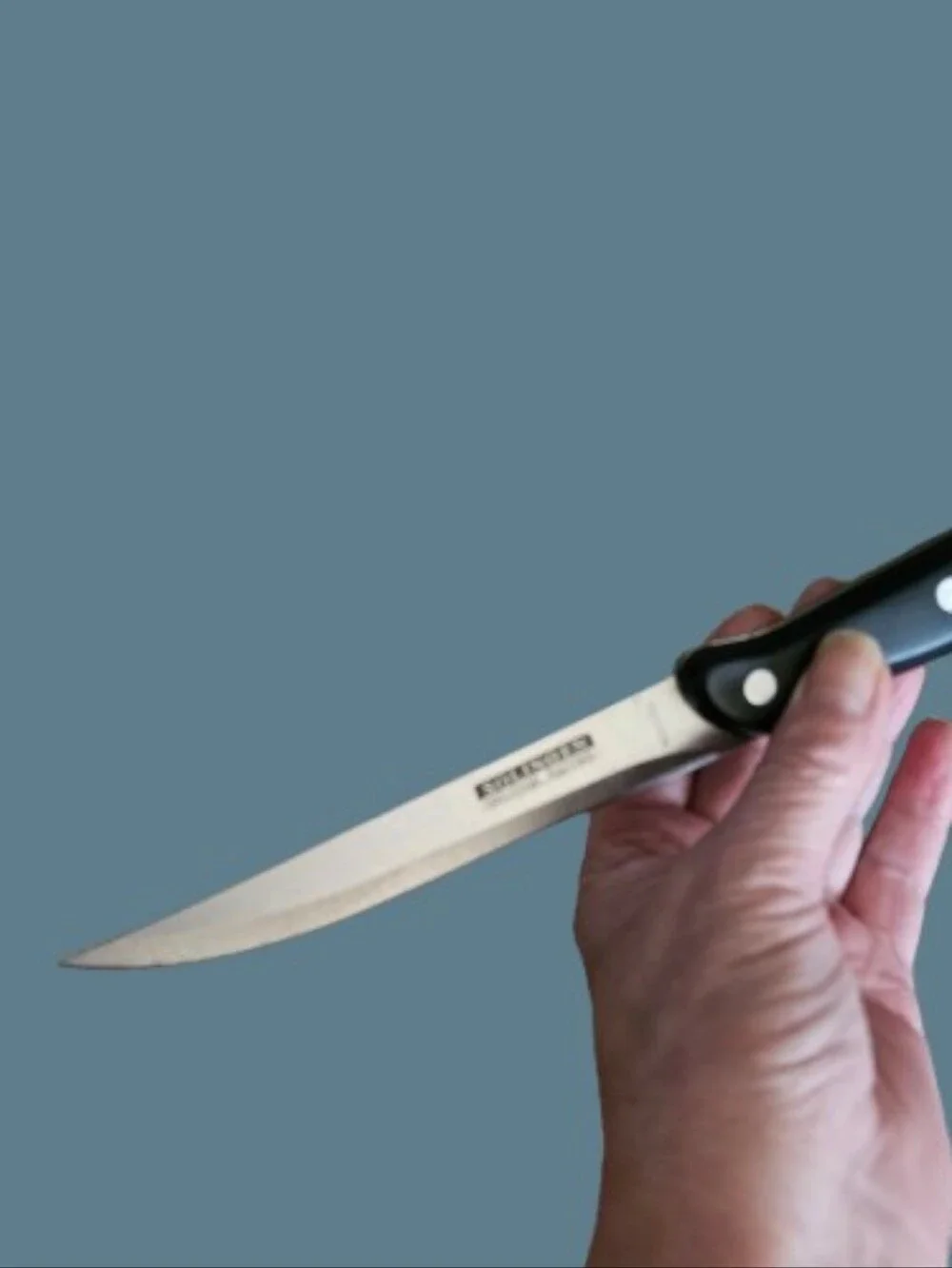 German Solinger Rosrfrei (Rust Free) Stainless Steel Knife Set. 6 w/Honing Rod